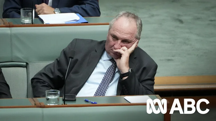 Barnaby Joyce Joins One Nation, Eyes Senate Seat