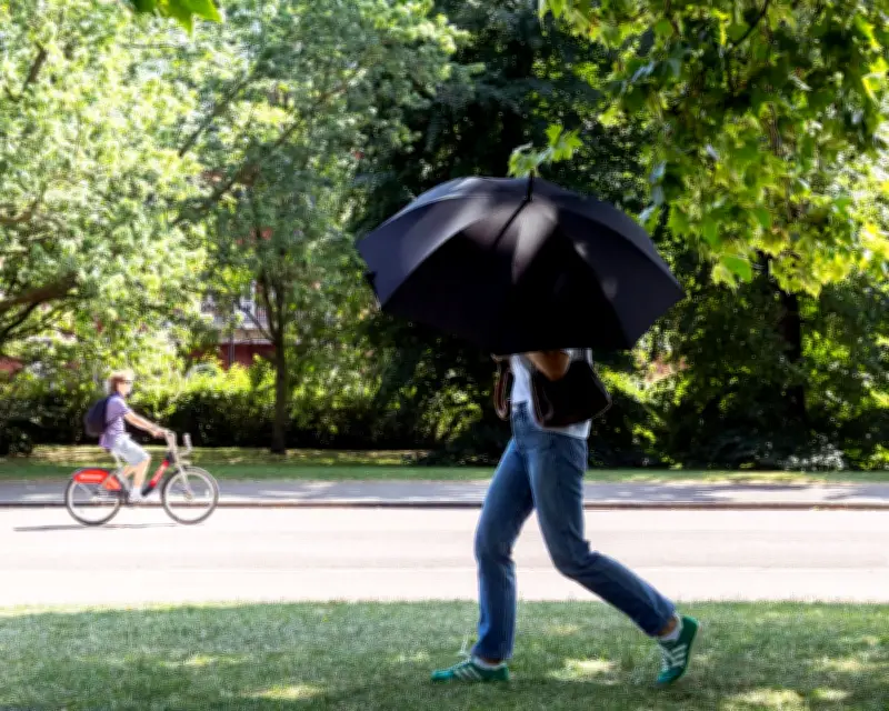 Be Prepared for Deadly Heatwaves to Intensify, Experts Warn