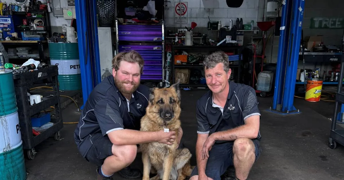Belconnen's Jamison Automotive Services Named Finalist in 2025 Canberra Region Local Business Awards