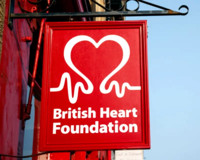 BHF to Close 150 Shops, Cut Jobs Amid Rising Costs and Online Shift