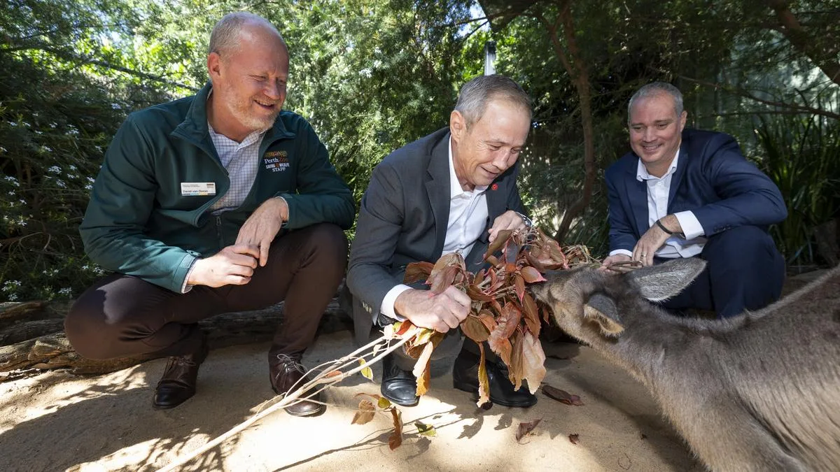 BHP Funds $10M Pilbara Habitat at Perth Zoo