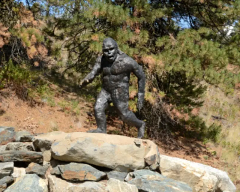 Bigfoot Sightings in Rural Ontario Reignite Debate Over Legendary Beast