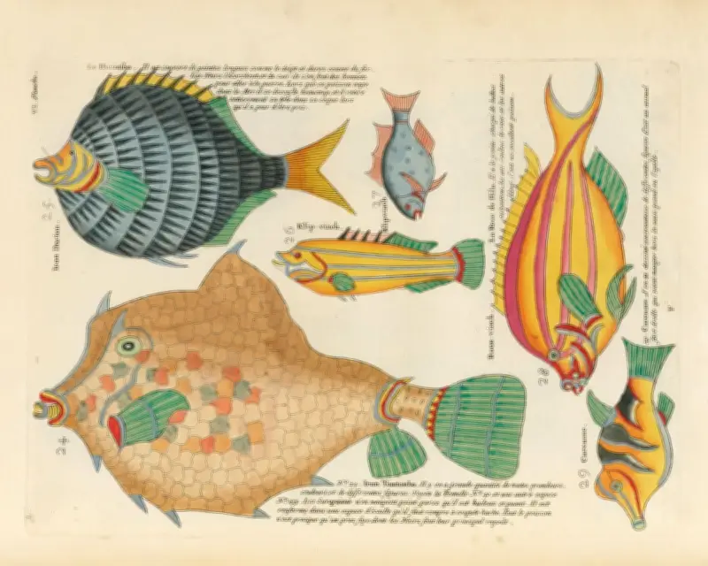 Biodiversity Heritage Library: A Digital Treasure Trove Faces an Uncertain Future