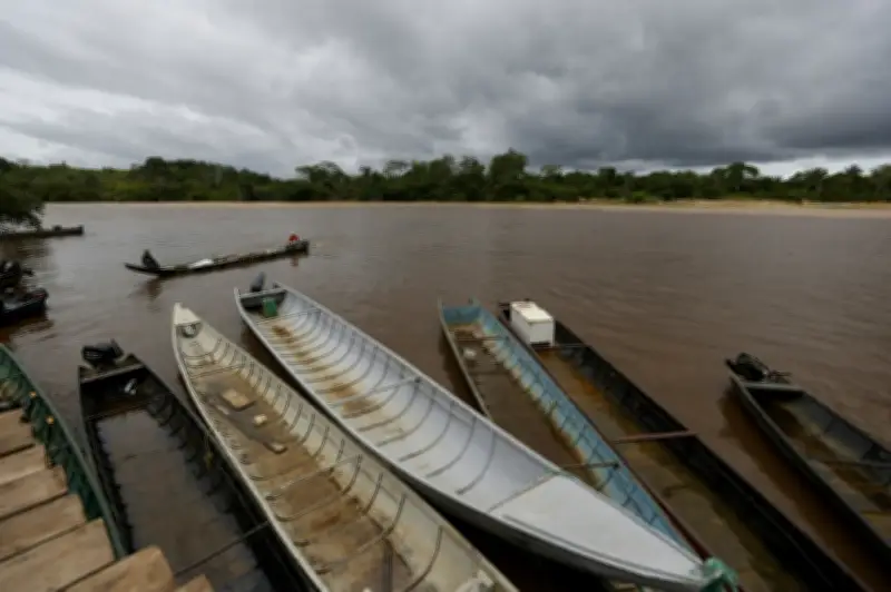Blood Gold: How Gangs Took Control of Venezuela's Mines