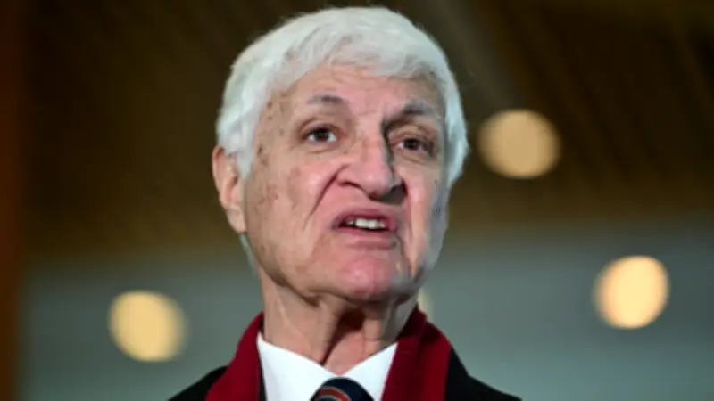 Bob Katter Blames Shark Advocates for Fatal Attacks in Australian Waters