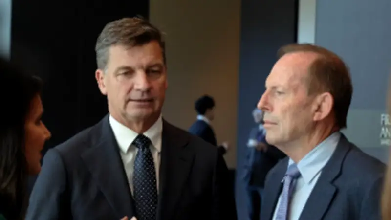 Bolt warns Abbott's return risks making Taylor 'look weak' as Coalition battles One Nation