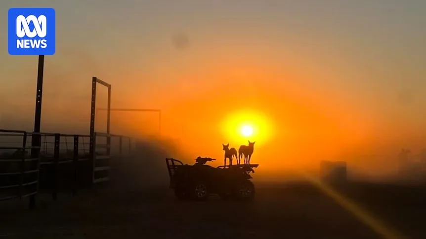 BOM Forecasts Hotter-Than-Normal Summer for Most of Australia