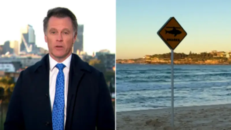 Bondi Beach Closed After Great White Shark Sighting