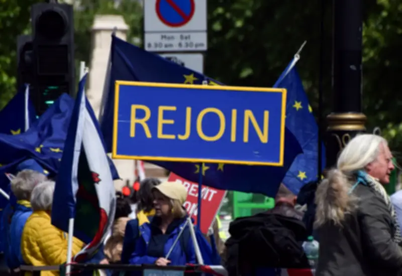 Brexit Customs Union Impact on UK Exports Revealed in New Research