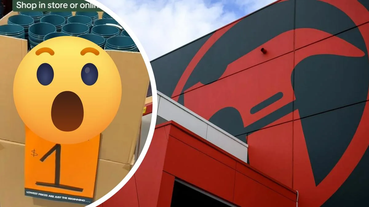 Bunnings Restocks Viral $1 Mini Buckets, Delighting Shoppers