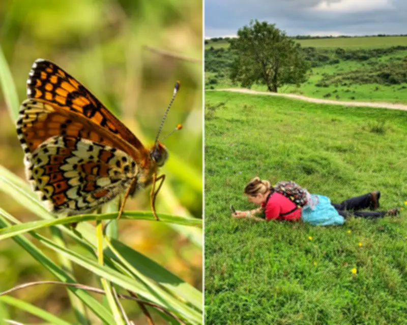 Butterfly Passion Turned Against Woman in Abusive Relationship Play