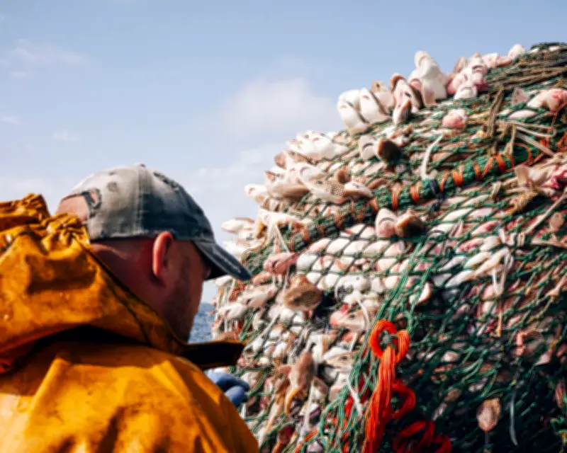Bycatch kills thousands of UK marine animals annually, first analysis shows