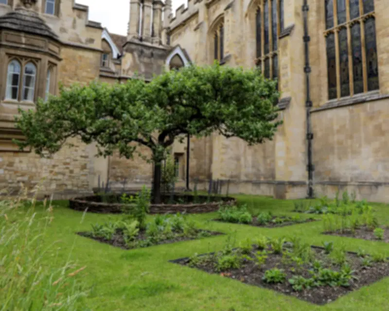 Cambridge Recreates 336-Year-Old Garden of Naturalist John Ray