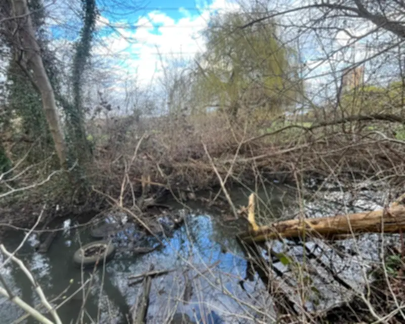 Campaigner Faces Prosecution Threat Over River Roding Cleanup Efforts