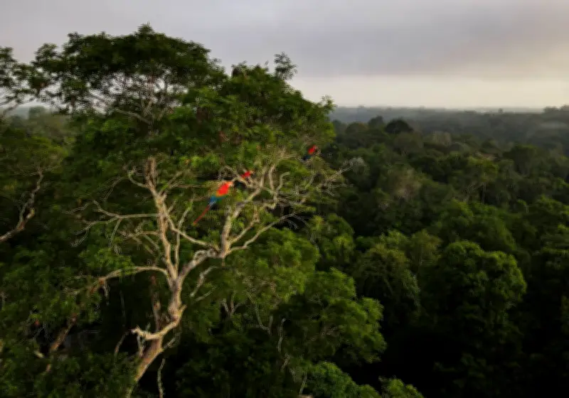 Can Ecosystems Malfunction? New Research Sparks Debate