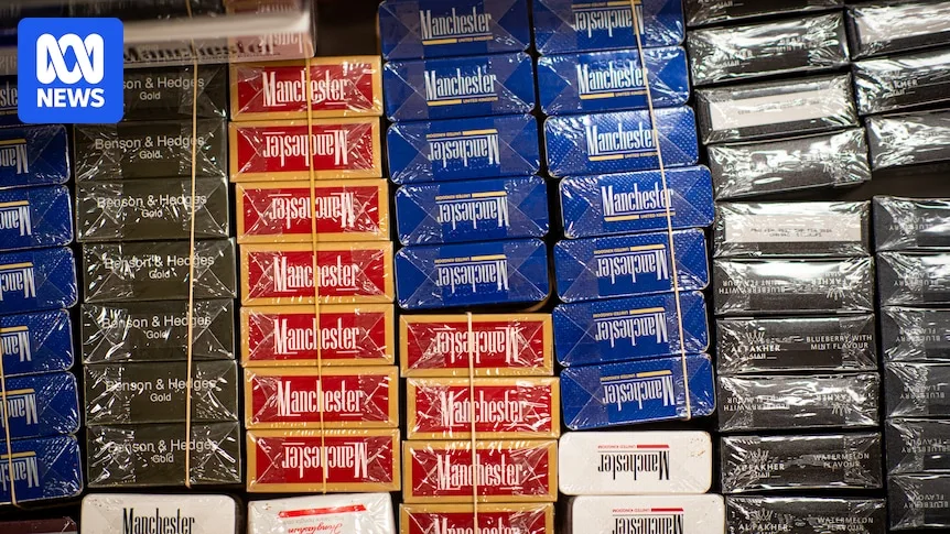 Canberra Raids Seize 455,000 Illicit Cigarettes in Crackdown on Black Market Trade