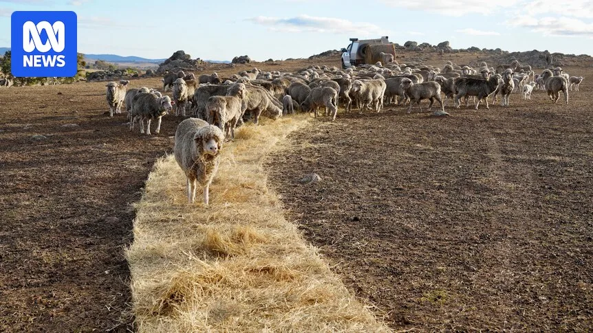 Capital Region Farmers Face Harshest Drought in Years