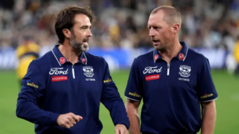 Cats Assistant James Kelly Unfazed by Hird Noise, Eyes Senior Role