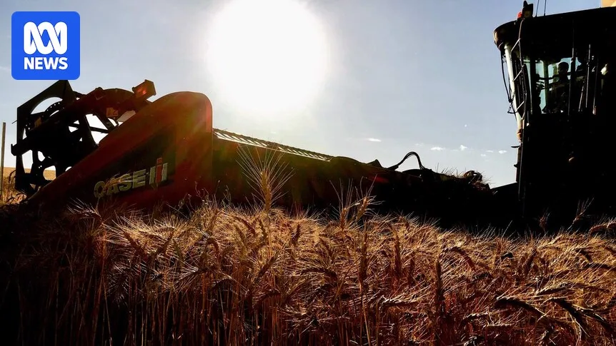 CBH Smashes Grain Receival Record With 229mt Haul