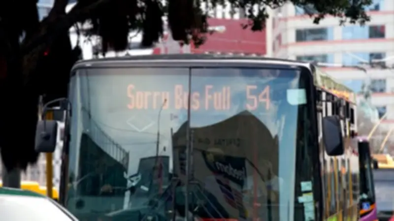 Cheaper fares and more buses won't fix NZ public transport crisis