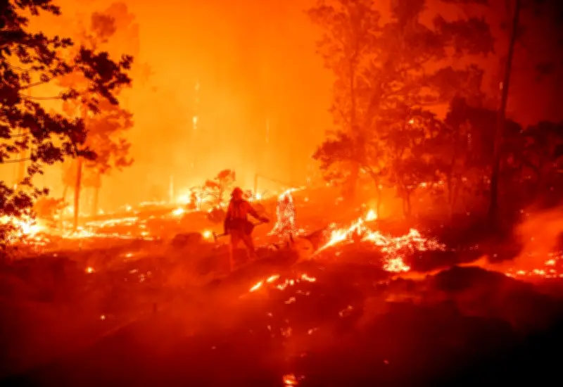 Companies Settle $4M for Gender-Reveal Fireworks That Sparked Deadly California Wildfire