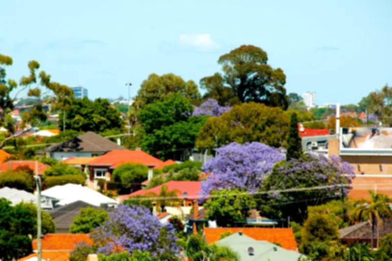 Cottesloe Council Reviews Tree Policy to Protect Significant Trees on Private Land