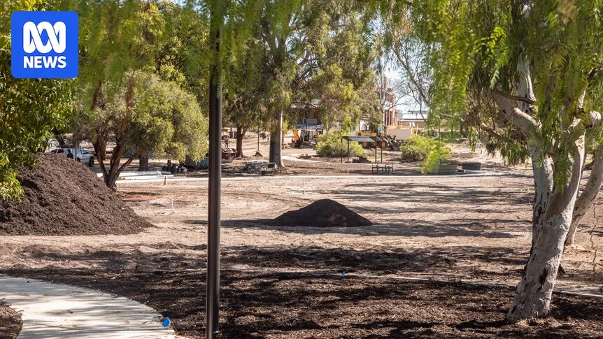 Council 'Shocked and Embarrassed' After 46 Trees Wrongly Chopped in Park Redevelopment