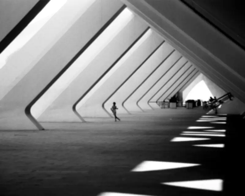 Creative Play and a Curious Cat: Readers' Best Photographs