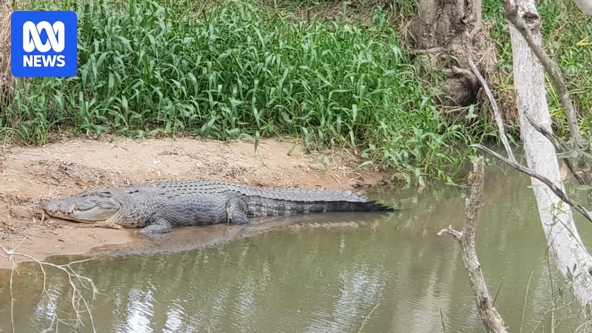North Queensland Split Over New Crocodile Management Plan