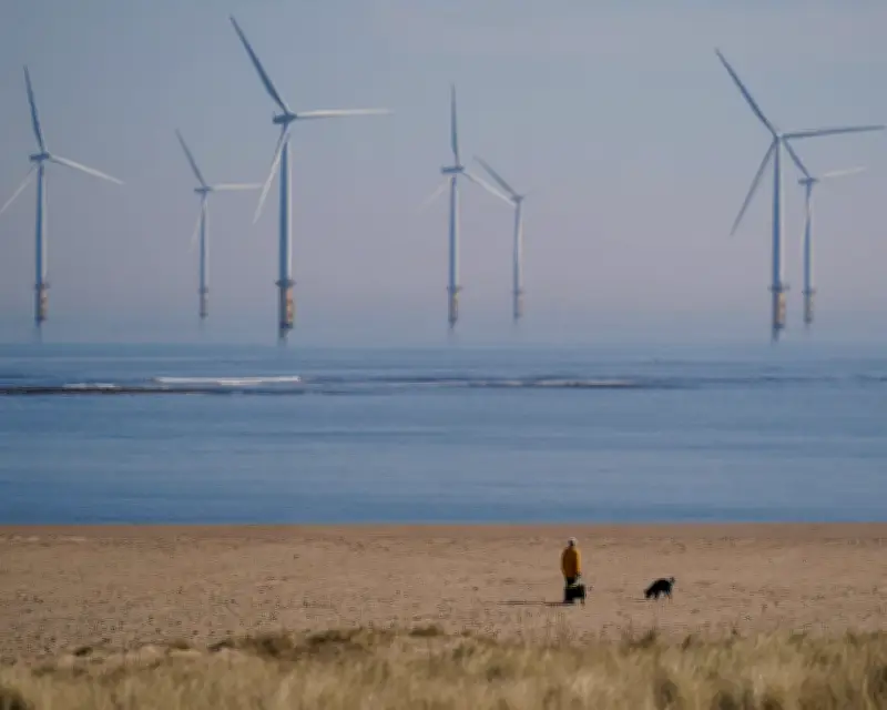 Crown Estate posts £1bn profit for third straight year on windfarm boom