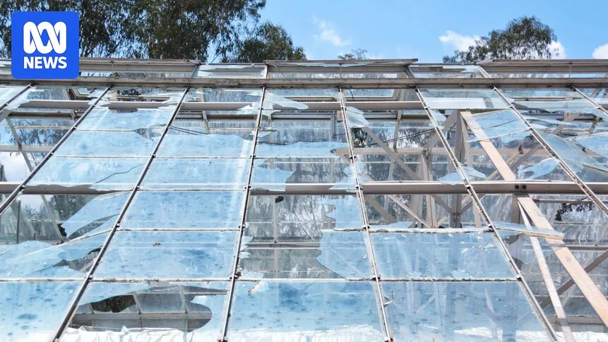 CSIRO Faces Major Setback After Hailstorm Destroys 65 Greenhouses