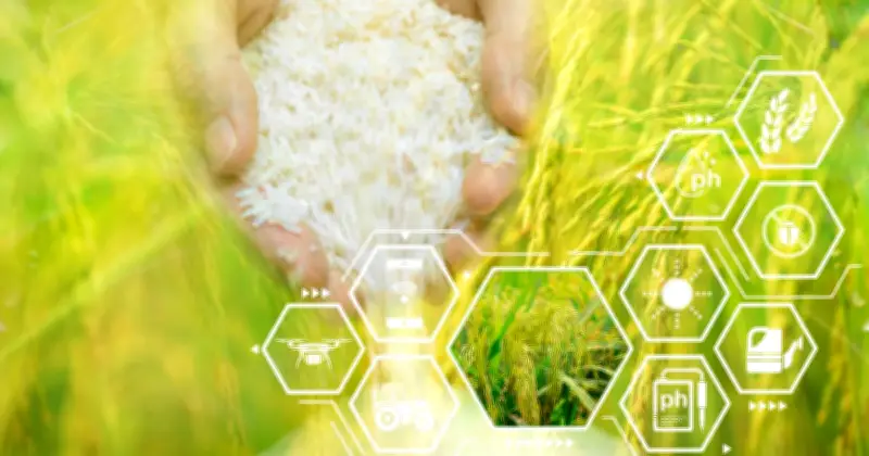 Cultivating the Future: A New Era of China-Australia Agricultural Partnership