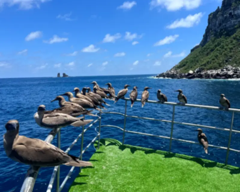 Darwin and Wolf Islands: Galapagos Expedition Reveals Surprising Wildlife Changes