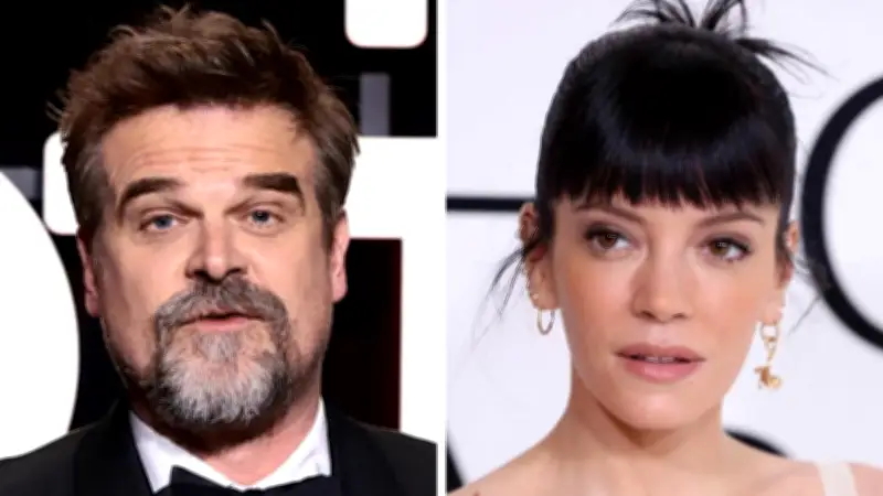 David Harbour Finally Breaks Silence on Lily Allen's Break-Up Album