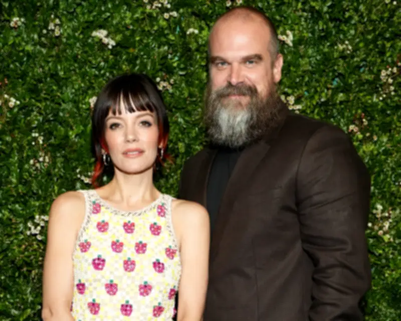 David Harbour on Lily Allen's Album: 'It Wasn't My Experience'