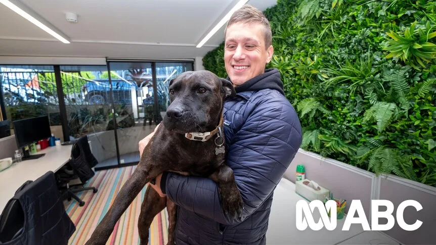 AI Company Owner Uses Tech to Tackle Dog's Cancer