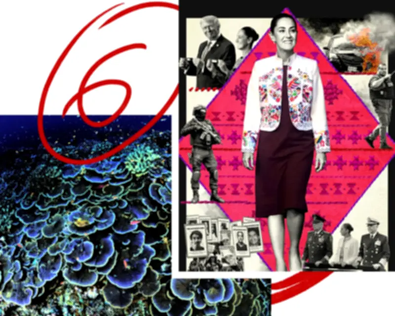 Deep Sea Secrets: Dementia Fighters, Women's Struggles in China