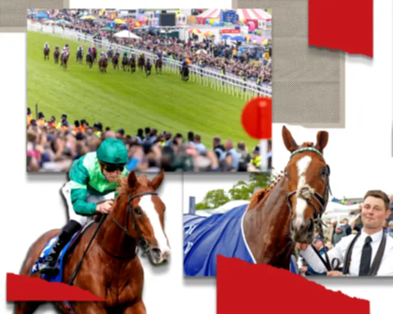 Derby 2026: Horse-by-Horse Guide to All Runners and Favorites