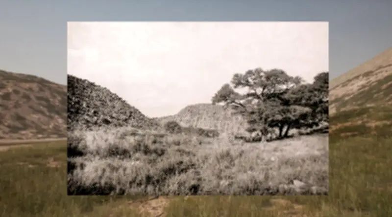 Digital Reconstruction Reveals Forgotten Genocide at Shark Island, Namibia