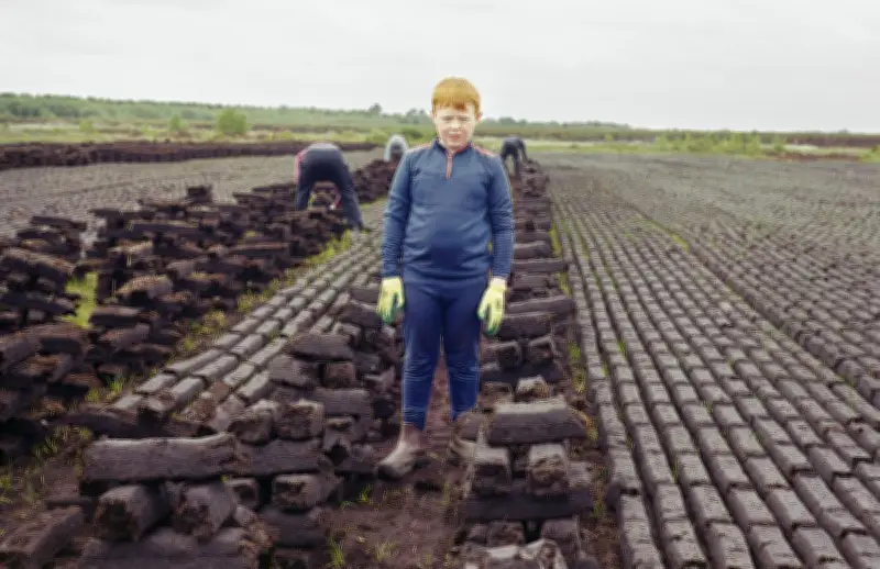 Documenting Ireland's Vanishing Boglands: Millennia in Their Layers