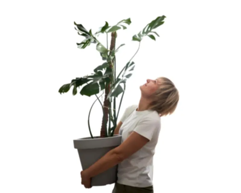 Does Talking to Plants Really Help Them Grow? We Test It
