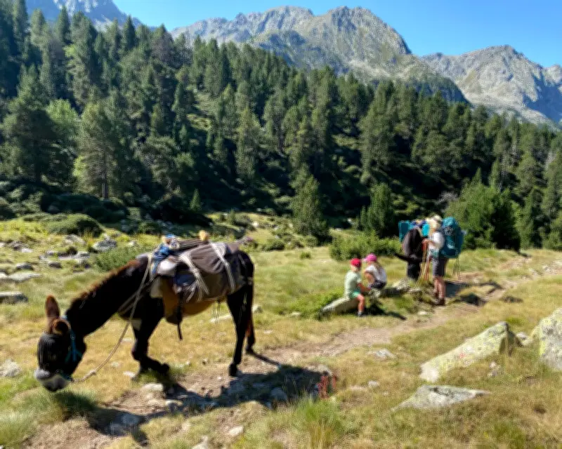 Donkey Trekking in the Spanish Pyrenees: A Family Adventure