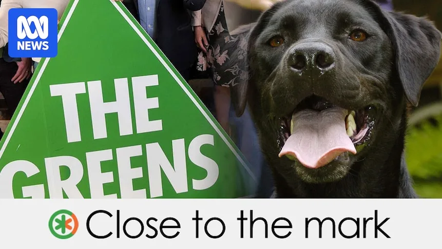Drug Detection Dogs Wrong in 67% of Illawarra Cases, Data Shows