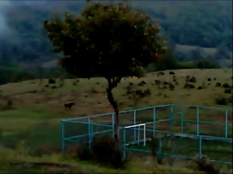 Dry Leaf Review: Alexandre Koberidze's Football Pitch Film