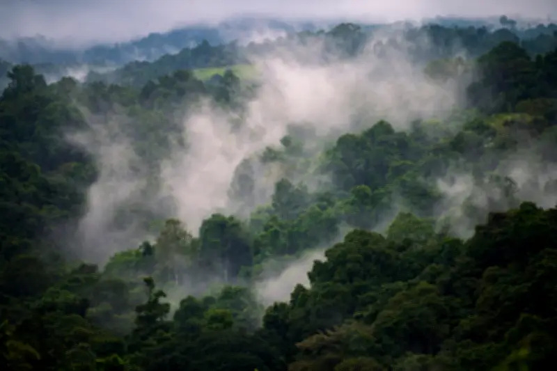 El Nino Drives Severe Food Shortages in Papua New Guinea