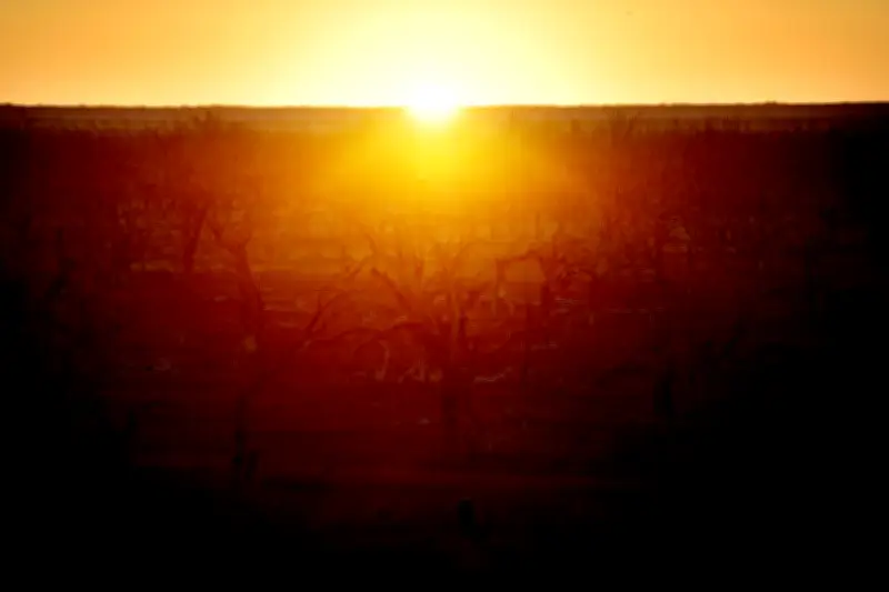 El Niño Expected to Develop in Coming Months, Bringing Hotter and Drier Weather to Eastern Australia