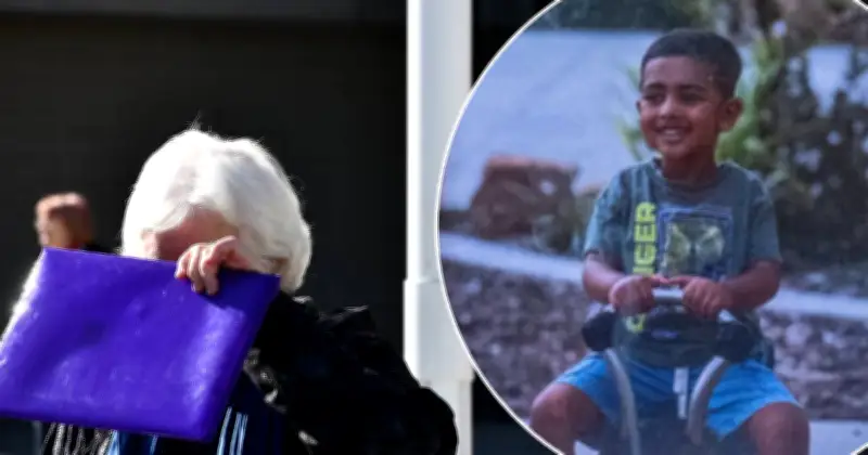 Elderly driver pleads guilty to causing death of 4yo boy at shopping centre