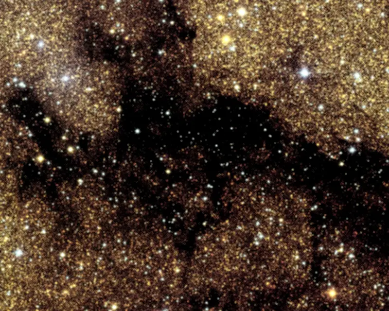 Euclid Telescope Reveals Hidden Stars in Milky Way's Galactic Bulge