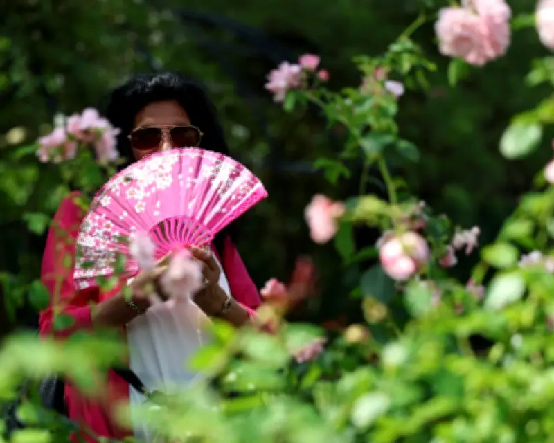 Extreme Heat Risks Escalate as Adaptation Plans Dangerously Lag