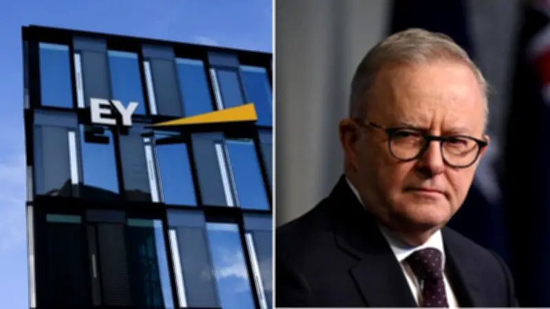 EY Employees Charged Over Hacking PM Albanese's Bank Account